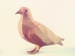Paper pigeon