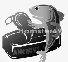 Лого для сайта anchous.info.png