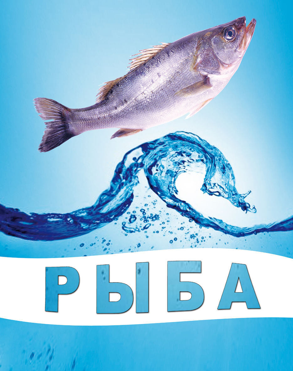 Окно рыбного магазина (перфопленка).jpg