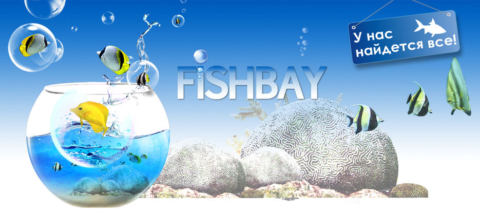 Торговая площадка аквариумистики FishBay.jpg