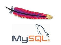 Mysql+galera, Apache, nginx