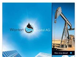 Буклет "Wontert Capital AC"
