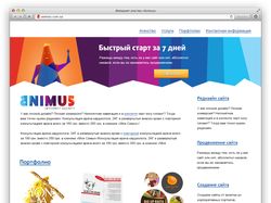 «Animus» — интернет-агенство