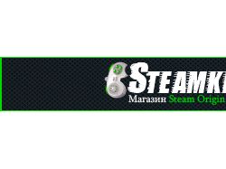 Баннер: STEAMKE.RU