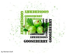 Логотип и название будущей компании "GOOseberry"