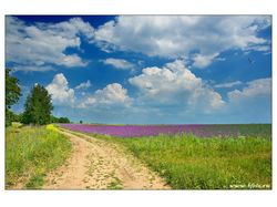 Фото природы