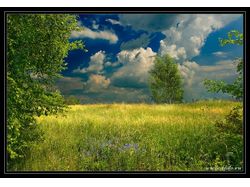 Фотографии лета