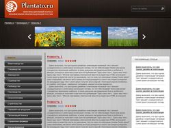Дизайн сайта Plantato.ru вариант №2