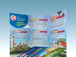 Буклет 2 фальца