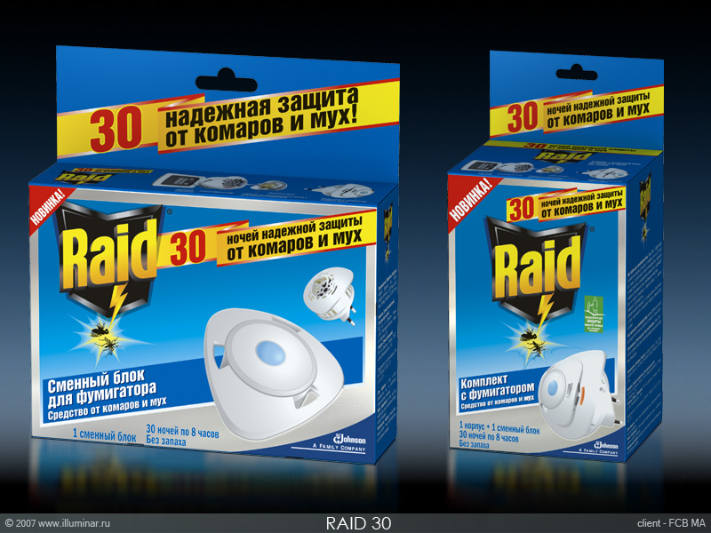Raid 30.jpg
