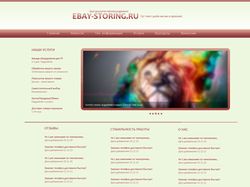 Ebay-Storing