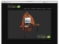 Разработка сайта компании "Молен"