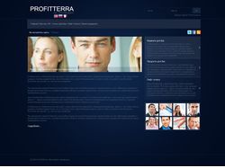 Прототип сайта компании Profitterra 2