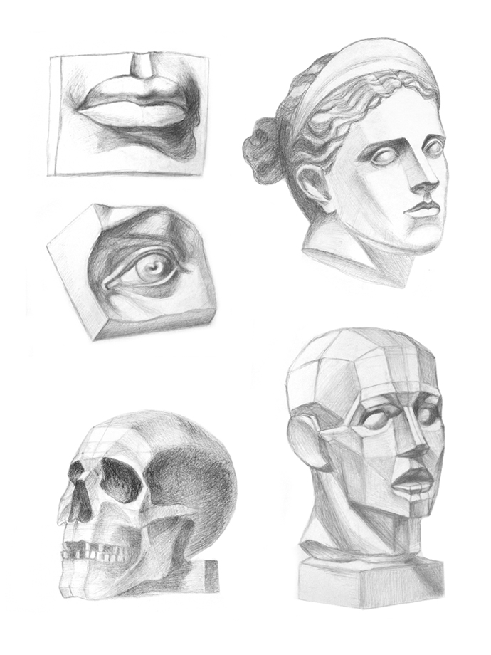 Рисунок гипсовой головы.jpg
