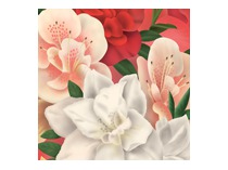 Иллюстрация для календаря FLORA