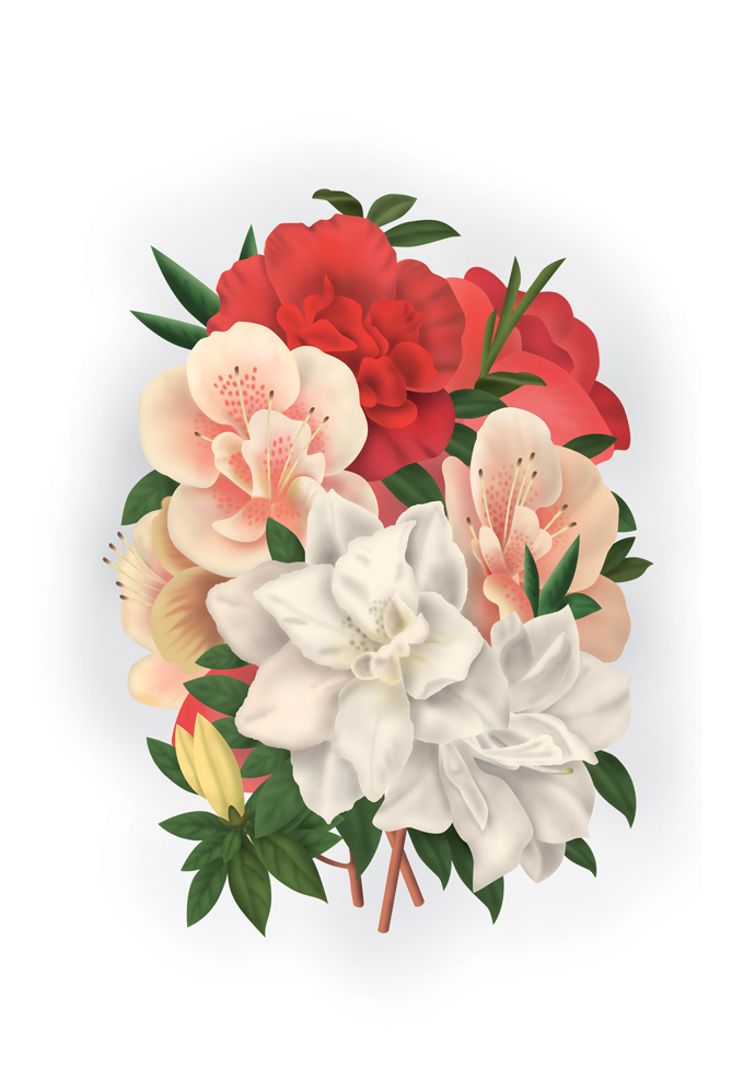 Иллюстрация для календаря FLORA.jpg