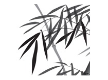 Иллюстрация Бамбук (Adobe Illustrator)