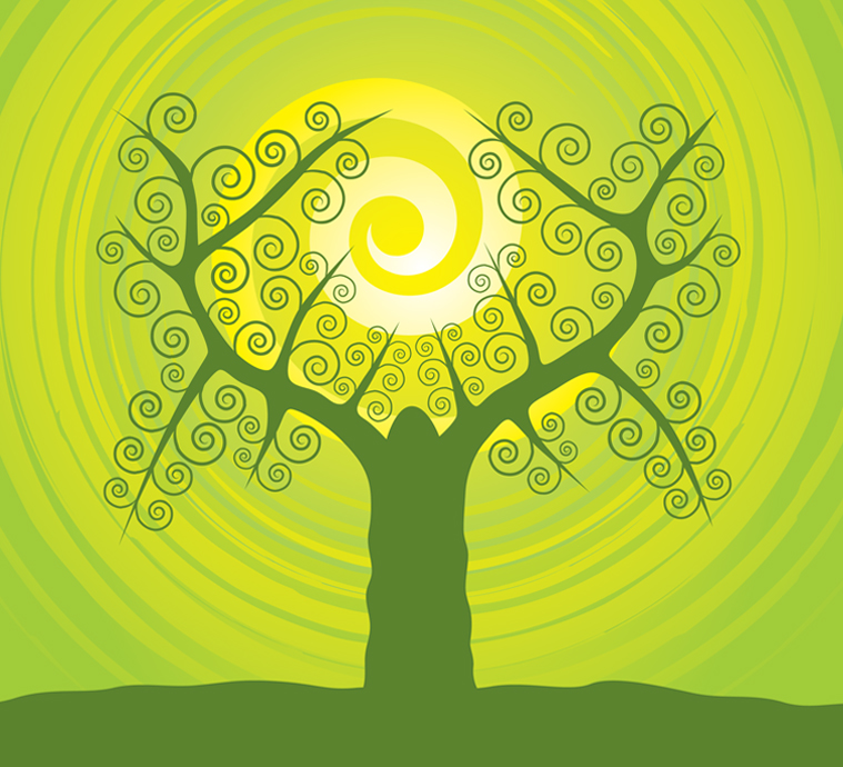 Дерево (Adobe Illustrator).jpg