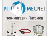 Флеш-баннер питомец