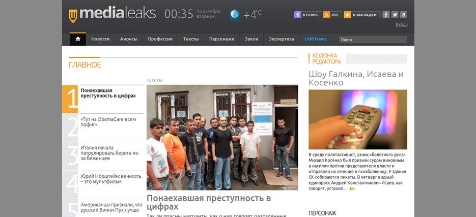 Информационный портал МедиаЛикс.png