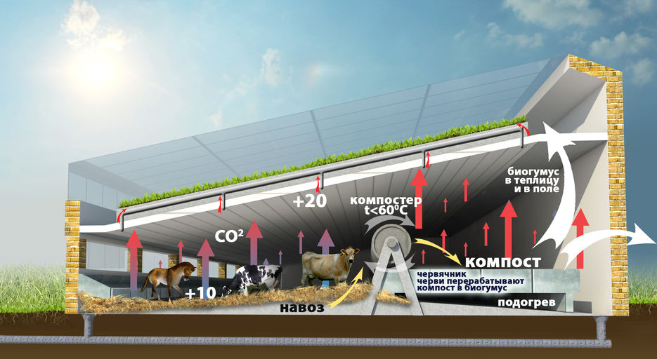 Эко ферма аркуда экоферма екатеринбург. Проект ЭКОФЕРМЫ. ЭКОФЕРМА план. Планировка ЭКОФЕРМЫ. Проект ЭКОФЕРМЫ мини.