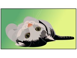 Мой кот