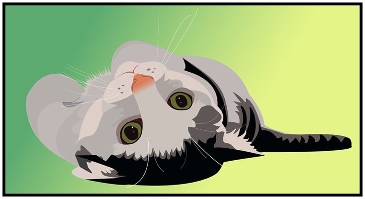 Мой кот.png