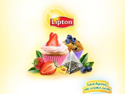 Комплексная разработка рекламной компании Lipton