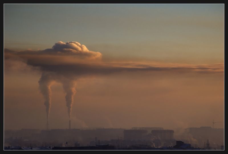 Поллюция.jpg