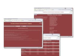 Система контроля Интернет трафика