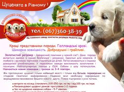 инофрмационная листовка