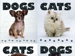 Серия обложек для тетрадей "Dogs & Cats"