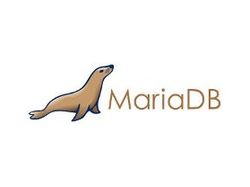 Установка MariaDB и оптимизация сервера