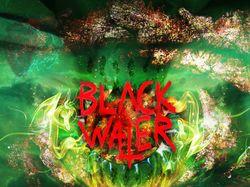 BLACK WA†ER - Only Black pt.1