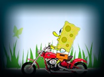 SpongeMoto