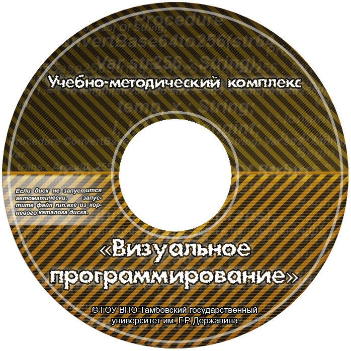 Визуальное программирование УМК диск.jpg