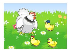 Курица с цыплятами на полянке