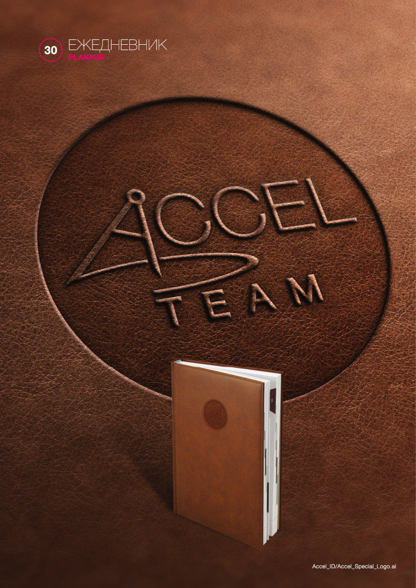 ACCEL_CorpID30.jpg