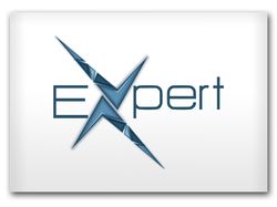 Expert logo