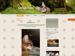 Сайт-визитка питомника кошек