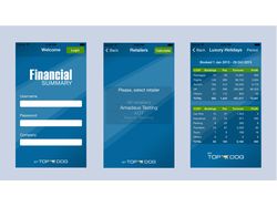 Financial Summary (iOS)