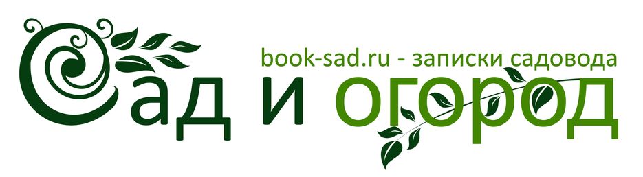 макет2.jpg