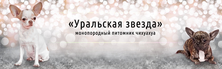 шапка2.jpg