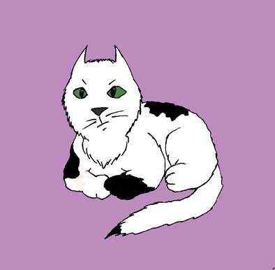 cat copy.jpg