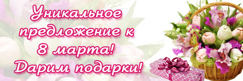 8 March.jpg