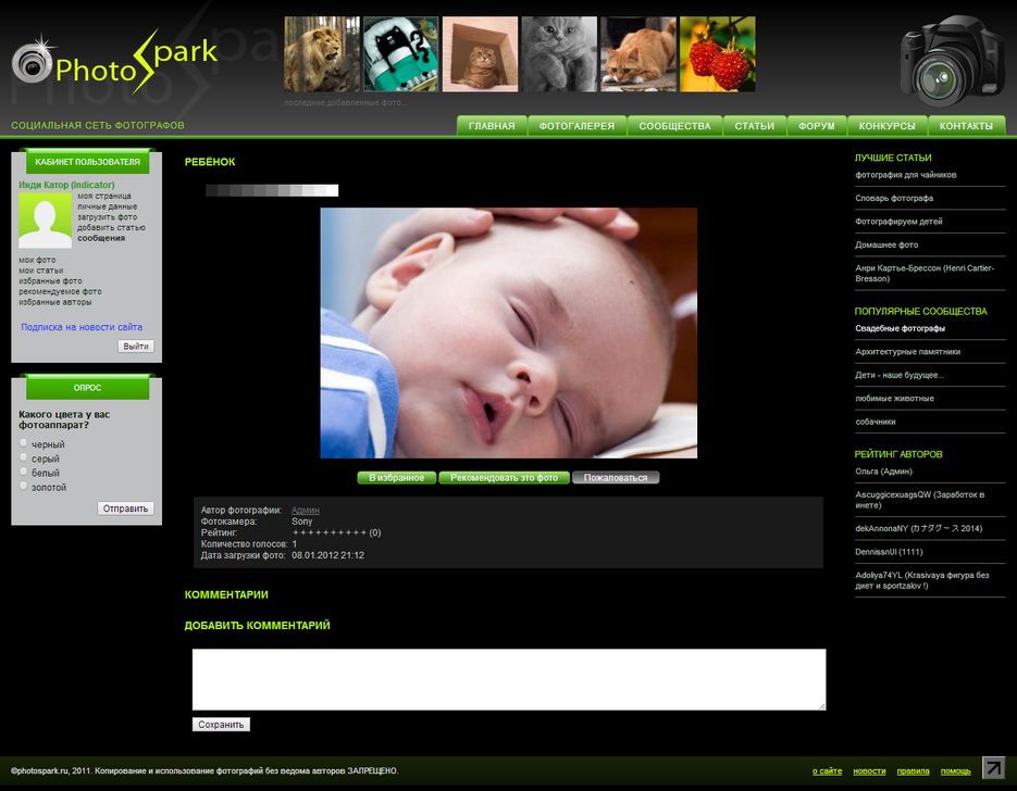 photospark_ru__mod=gallery&id=73.png