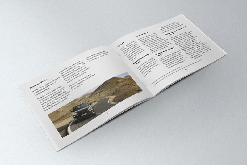 Porsche_Assist_4_800.jpg