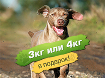 Акция от Willowy при покупке собачьего корма.
