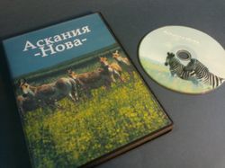 DVD диск Аскания-Нова
