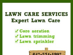 Expert Lawn Care